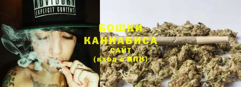 Каннабис OG Kush  Котово 